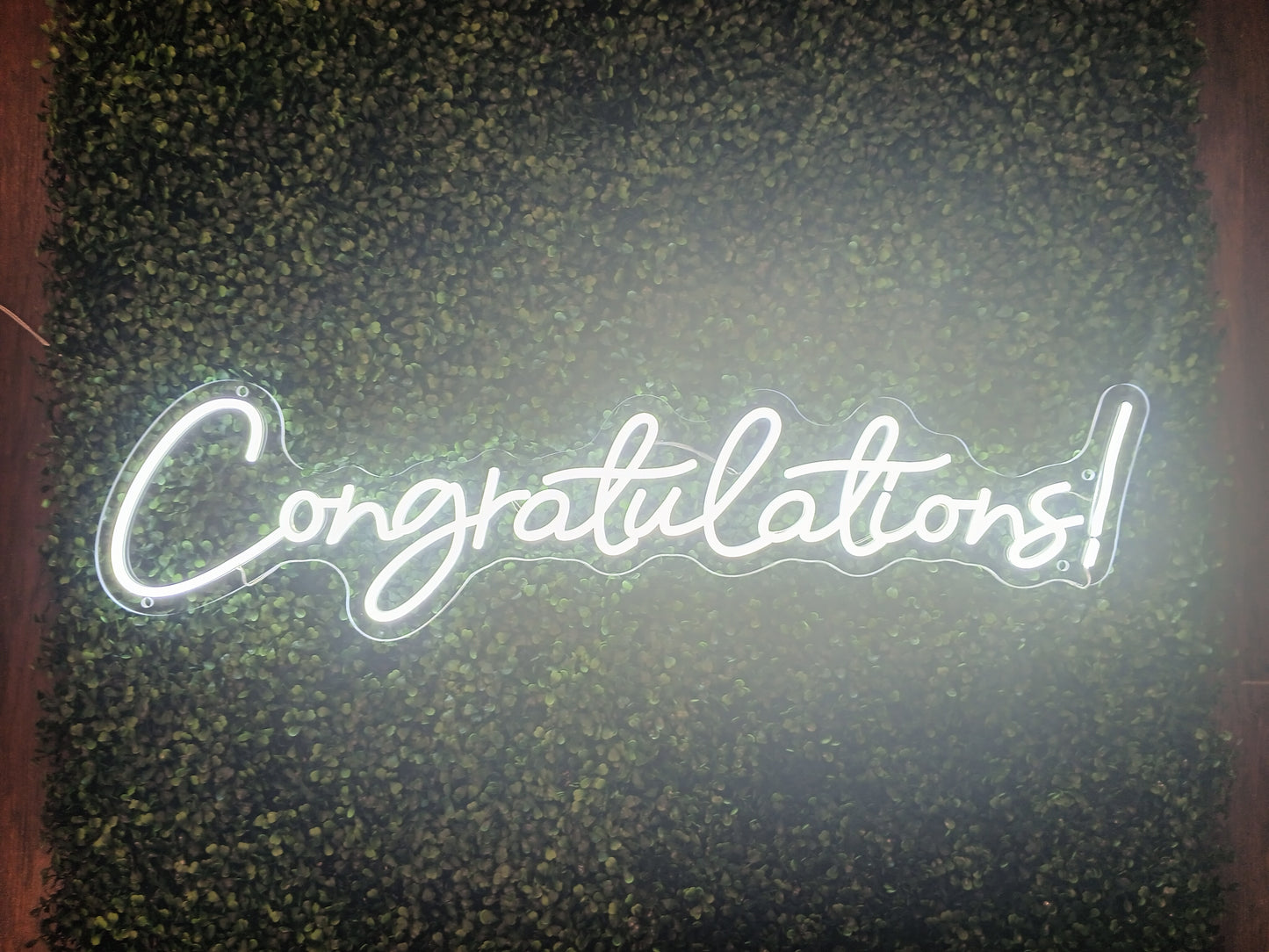Neon Sign (Rental)